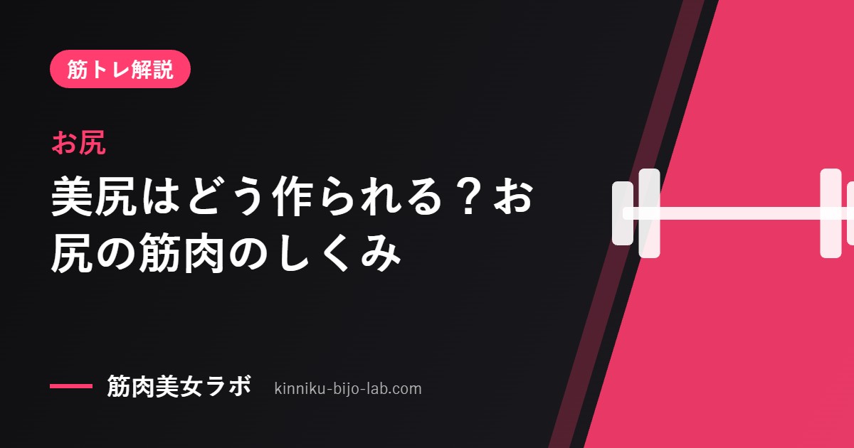 お尻：美尻はどう作られる？お尻の筋肉のしくみ